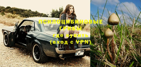 MESCALINE Белокуриха